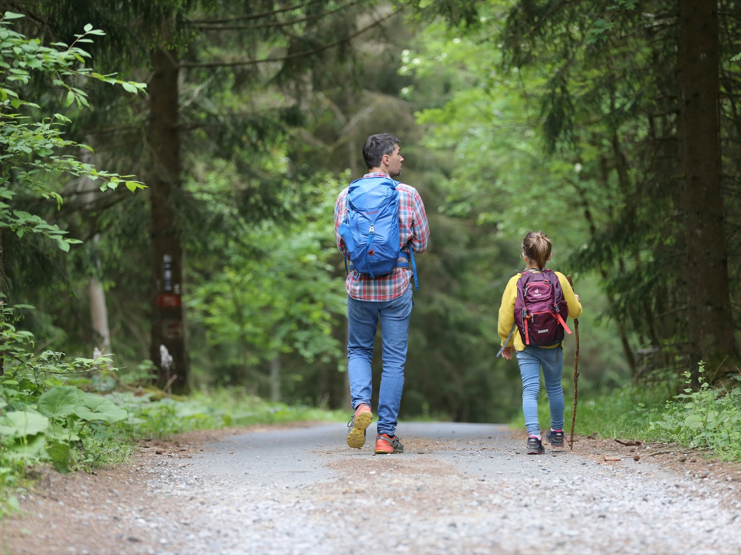 Father and daughter hiking on a forest path