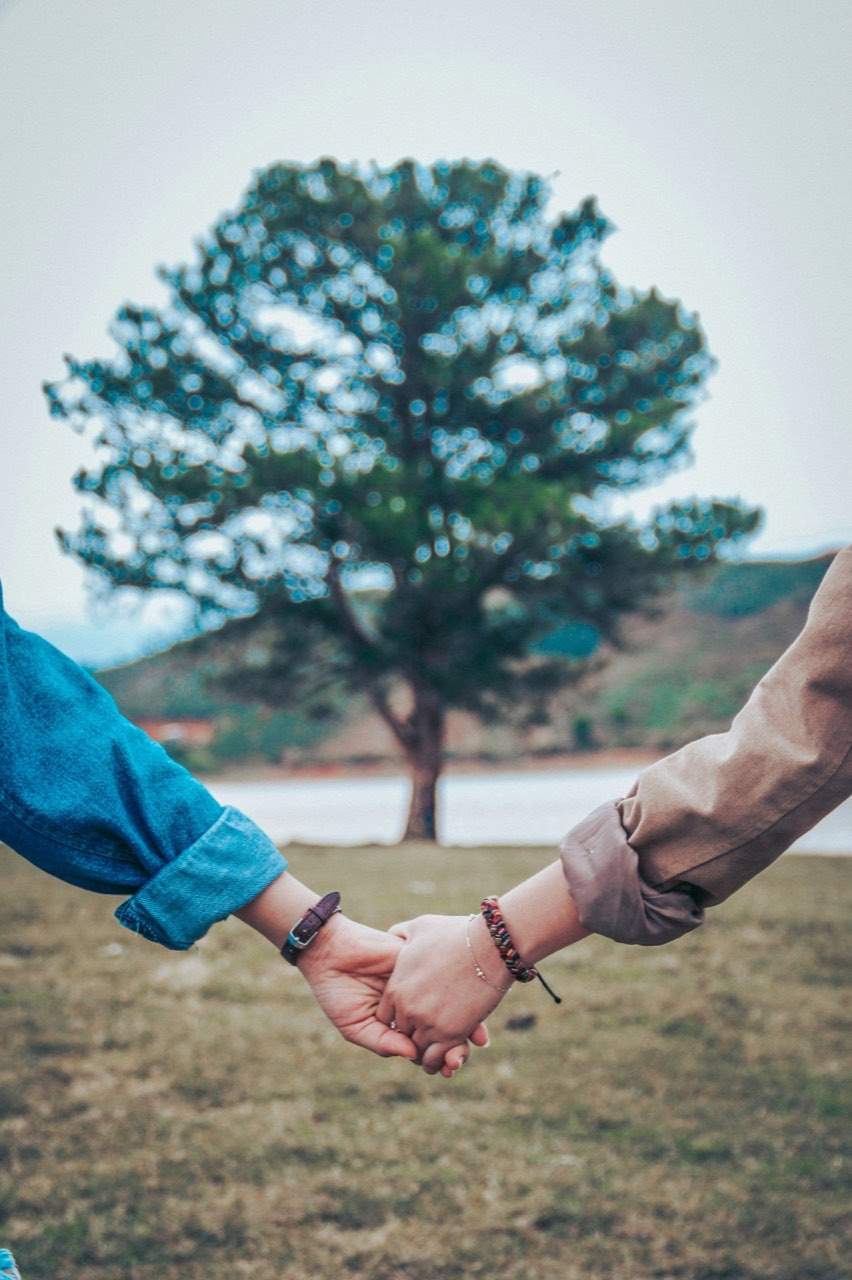 Two people holding hands in front of a tree