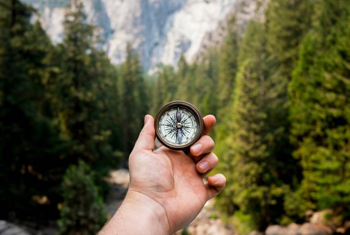 A hand holding a compass in a forest